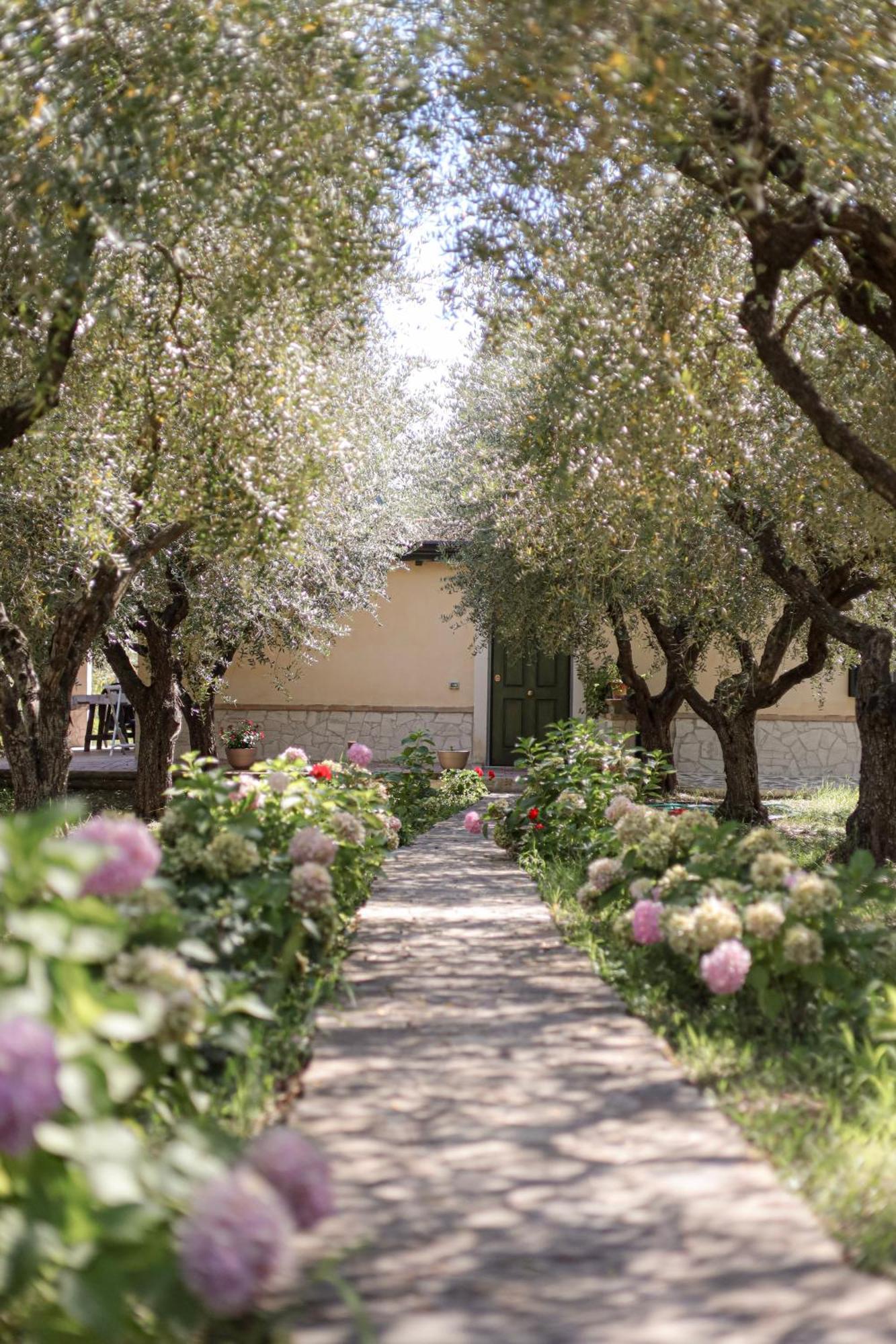 Agriturismo Il Pozzo Casal Velino Exterior photo